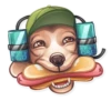 Dog it! 8