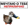 МЕЧТАЮ О ТЕБЕ НЕПРИЛИЧНО