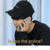 is this the police?