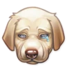 Dog it! 11