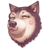 Dog it! 13