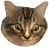 Favorite stickers by 19