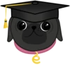 Eva The Pug by 14