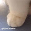 *грозный топ*