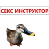 СЕКС ИНСТРУКТОР