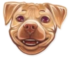 Dog it! 14