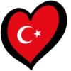 Eurovision Flags 12