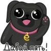 Eva The Pug by 15