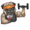 Dog it! 16