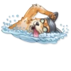 Dog it! 17