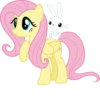 Fluttershy 2 | 21