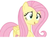 Fluttershy 2 | 23