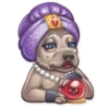 Dog it! 19