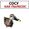 СОСУ КАК ПЫЛЕСОС