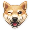 Dog it! 21