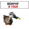 КОНЧУ В ТЕБЯ