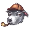 Dog it! 22