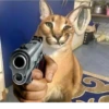 Big Boss Шлёпа 24