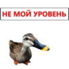 НЕ МОЙ УРОВЕНЬ