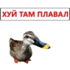 ХУЙ ТАМ ПЛАВАЛ
