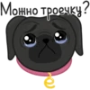 Eva The Pug by 18