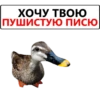 ХОЧУ ТВОЮ ПУШИСТУЮ ПИСЮ