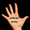 Favorite stickers by 24