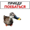 ПРИЕДУ ПОЕБАТЬСЯ