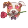 Dog it! 26