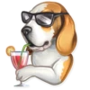 Dog it! 27