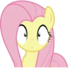 Fluttershy 2 | 27