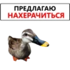 ПРЕДЛАГАЮ НАХЕРАЧИТЬСЯ
