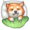 Dog it! 29