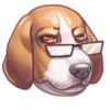 Dog it! 30