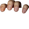 Стики 1579 из @Anonymnyi_chat_bot 14