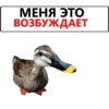 МЕНЯ ЭТО ВОЗБУЖДАЕТ