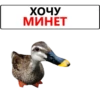 ХОЧУ МИНЕТ
