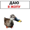ДАЮ В ЖОПУ