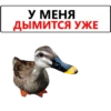 У МЕНЯ ДЫМИТСЯ УЖЕ