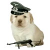 Friendly nationalist 6