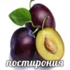 Стикеры тYт: 5
