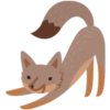 Facebook Foxes 6