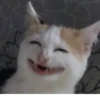 Moodskiy moodnoogo yaiso by 12