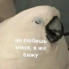 Moodskiy moodnoogo yaiso by 13