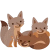 Facebook Foxes 9