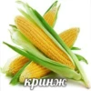 Стикеры тYт: 14