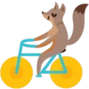 Facebook Foxes 11
