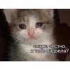 Moodskiy moodnoogo yaiso by 16