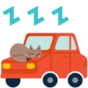 Facebook Foxes 12