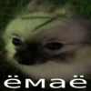 ёмаё